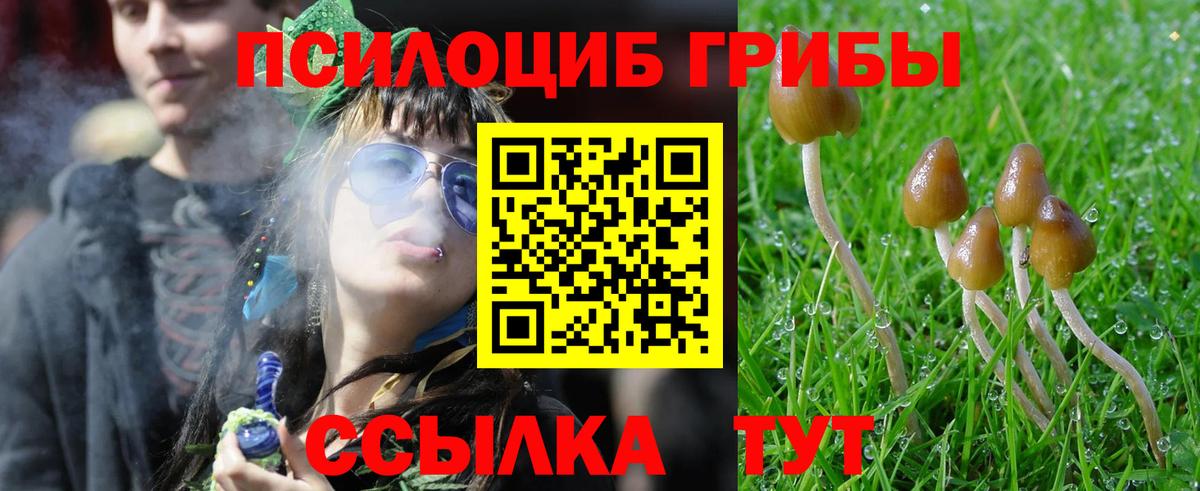 Псилоцибиновые грибы прущие грибы Карпинск